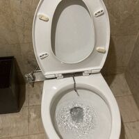 ウオシュレットは珍しいタイプ