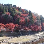 山裾の紅葉が綺麗