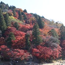 巴橋