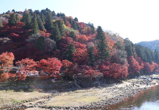 山裾の紅葉が綺麗