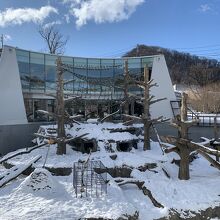 円山動物園 サル山