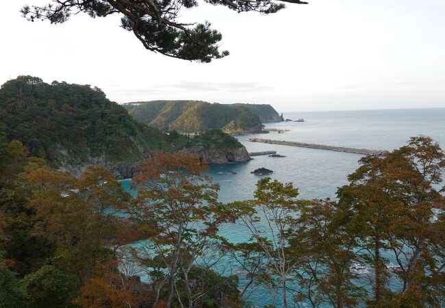 美しい海の色と紅葉のコラボが