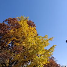 上田城跡公園