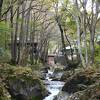 地底湖から湧き出る清流