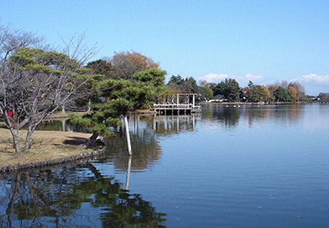 大塚池公園