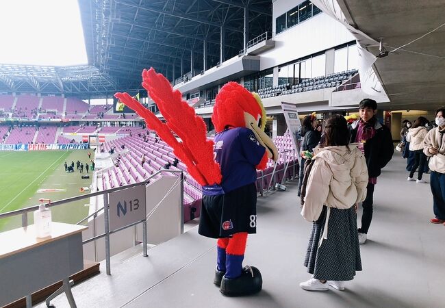 色んなものが詰まっている