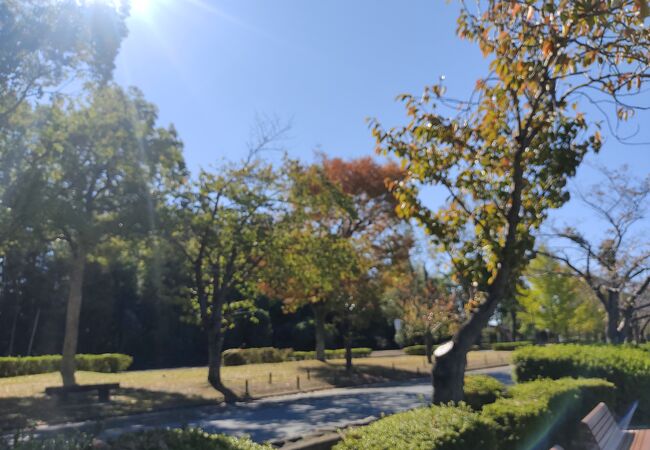 千波公園