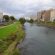 盛岡市の中心部を流れています