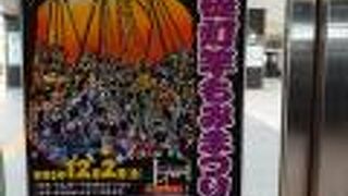 第163回関東の奇祭 古河提灯竿もみまつり