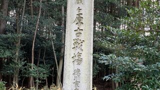 徳川家康最初陣地