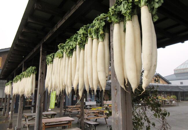 道の駅 湯の香しおばら