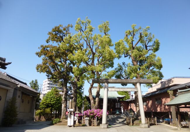 香取神社