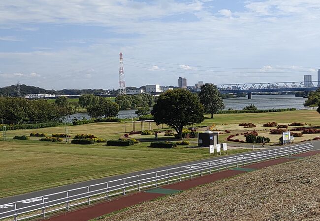 江戸川サイクリングロード