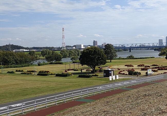 江戸川堤