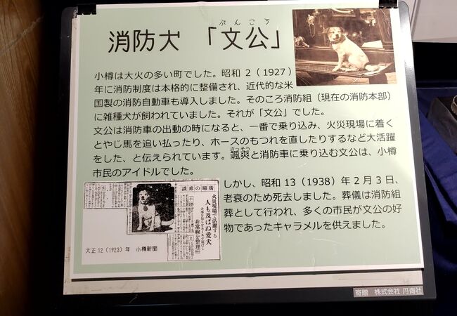 共通券を購入すると割安で入館できます