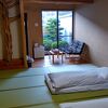 すごい木がいっぱい