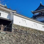 徳川吉宗のお城です