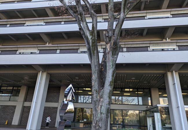 あらゆる蔵書あり