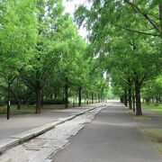 静かな公園を散策しました