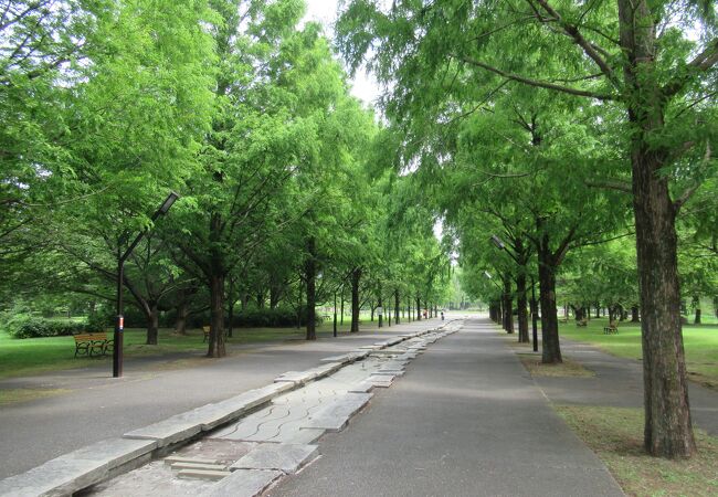 静かな公園を散策しました