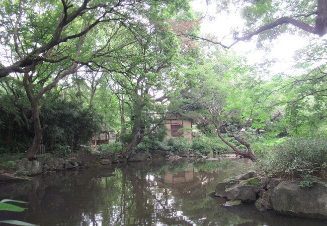 木々が茂った公園です