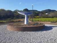 花の広場公園 花夢花夢