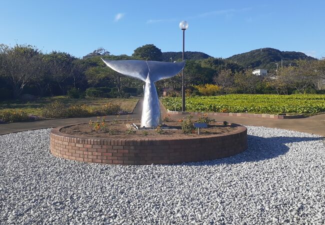 花の広場公園 花夢花夢