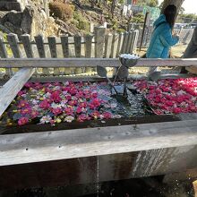 大本山成田山名古屋別院大聖寺