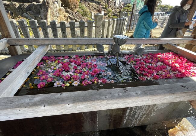 大本山成田山名古屋別院大聖寺