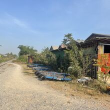 バンブー トレイン