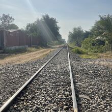 バッタンバンのバンブートレインのレールです。