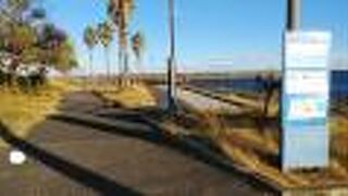 親水公園 ふぃしゅーな