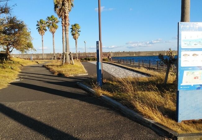 港に隣接する富士山と海がのぞめる公園