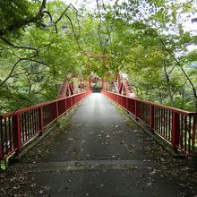 神龍湖に架かる桜橋