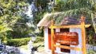 ビューポイント カフェ/レストラン