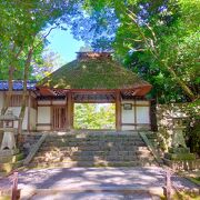京都法然院歳時記(水野克比古 写真 ; 教誉真章 解説) / かもがわ