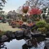 月岡温泉にて