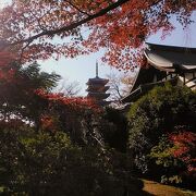 11月28日訪問、松戸北小金のあじさい寺の本土寺は紅葉も綺麗です