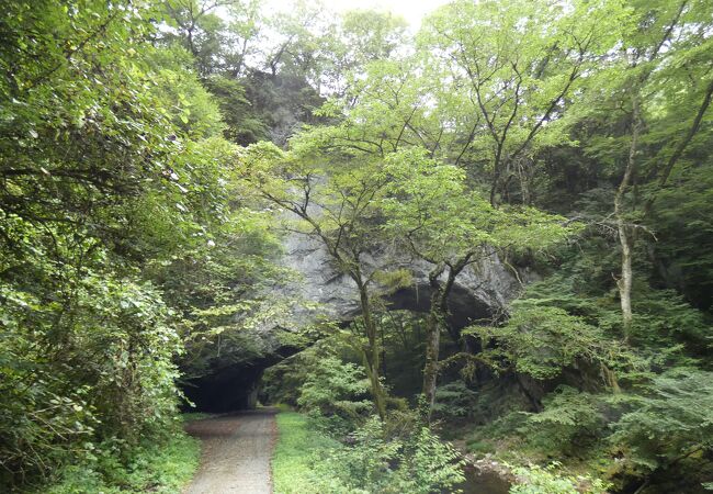 雄橋