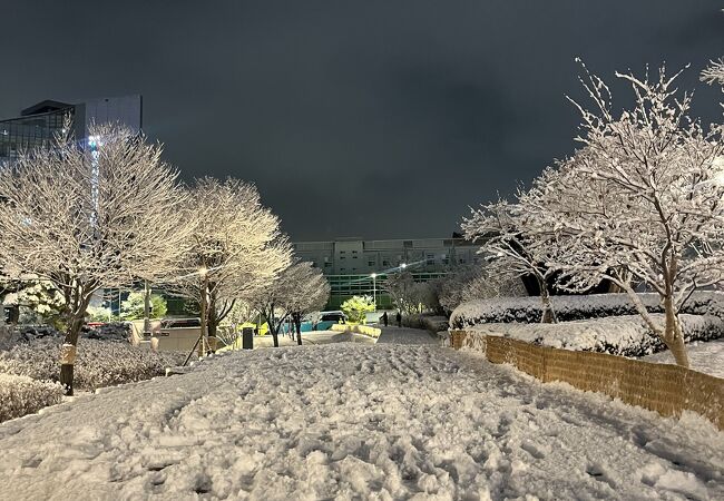 東大門歴史文化公園