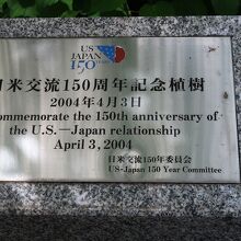 日米交流150周年記念植樹 ハナミズキ
