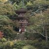 浄瑠璃寺