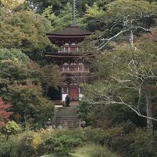 浄瑠璃寺