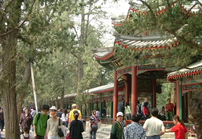 観光客が大勢ここで休息を取っています