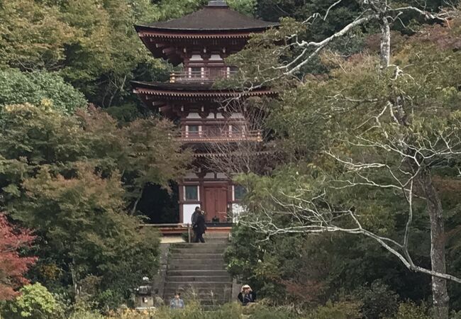 浄瑠璃寺