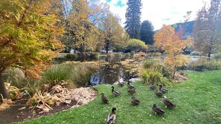 とても美しい癒される公園