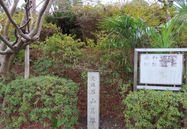 日本最大級の淡水貝塚