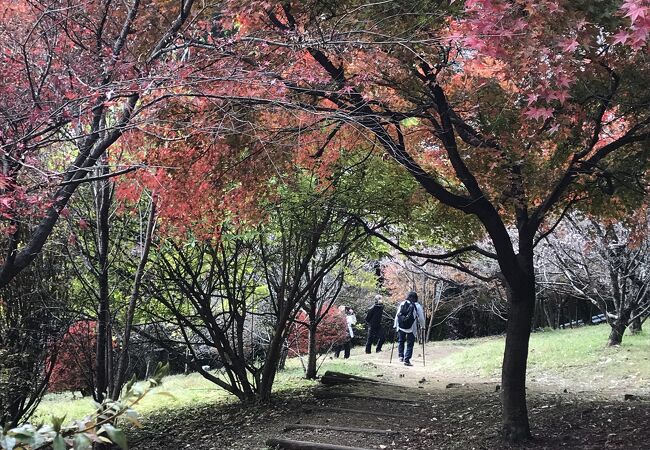 城峯公園