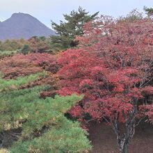 上ノ山公園の紅葉