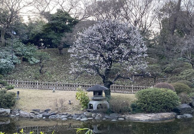 東京都庭園美術館 庭園